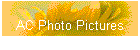 AC Photo Pictures