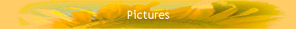 Pictures